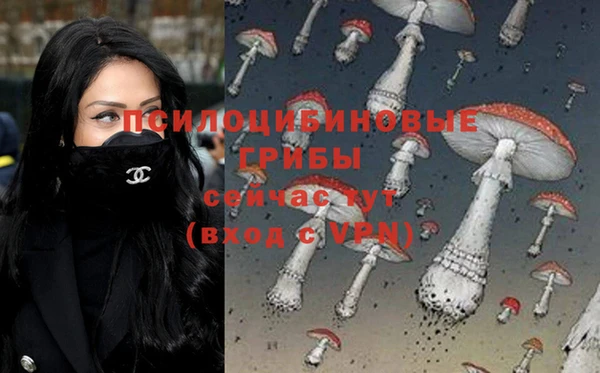 прущий лед Балахна