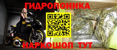 стафф Брянск