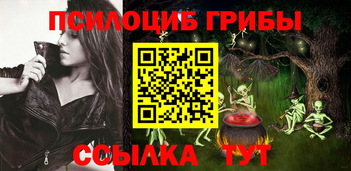Заречный  Псилоцибиновые грибы Magic Shrooms  Псилоцибиновые грибы Psilocybe  Вход с VPN 