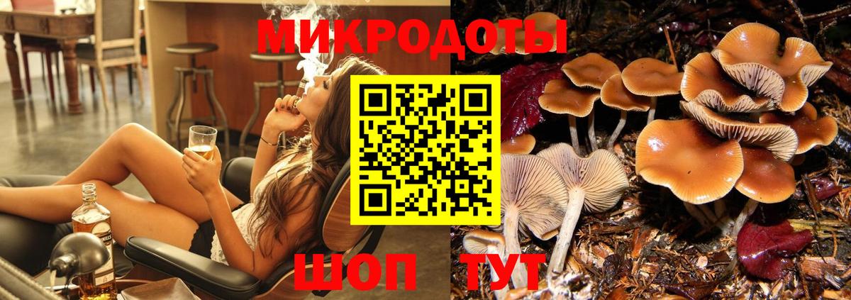 Псилоцибиновые грибы прущие грибы Заречный